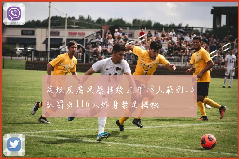 足坛反腐风暴持续三年18人获刑13队罚分116人终身禁足揭秘