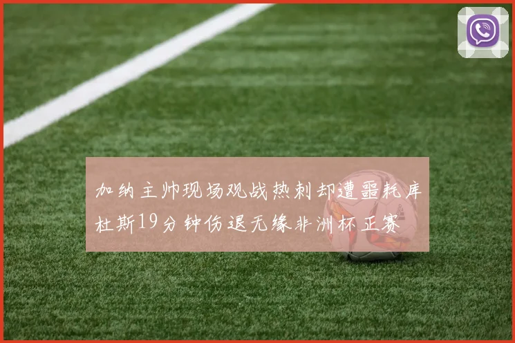 加纳主帅现场观战热刺却遭噩耗库杜斯19分钟伤退无缘非洲杯正赛